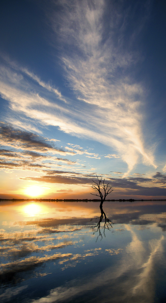 6. Platz Peter Marion